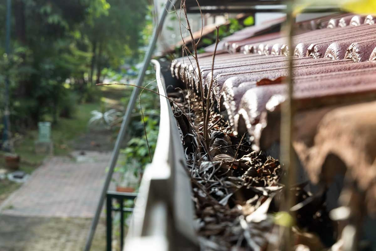 Clogged roof gutter filled with debris requiring professional cleaning service