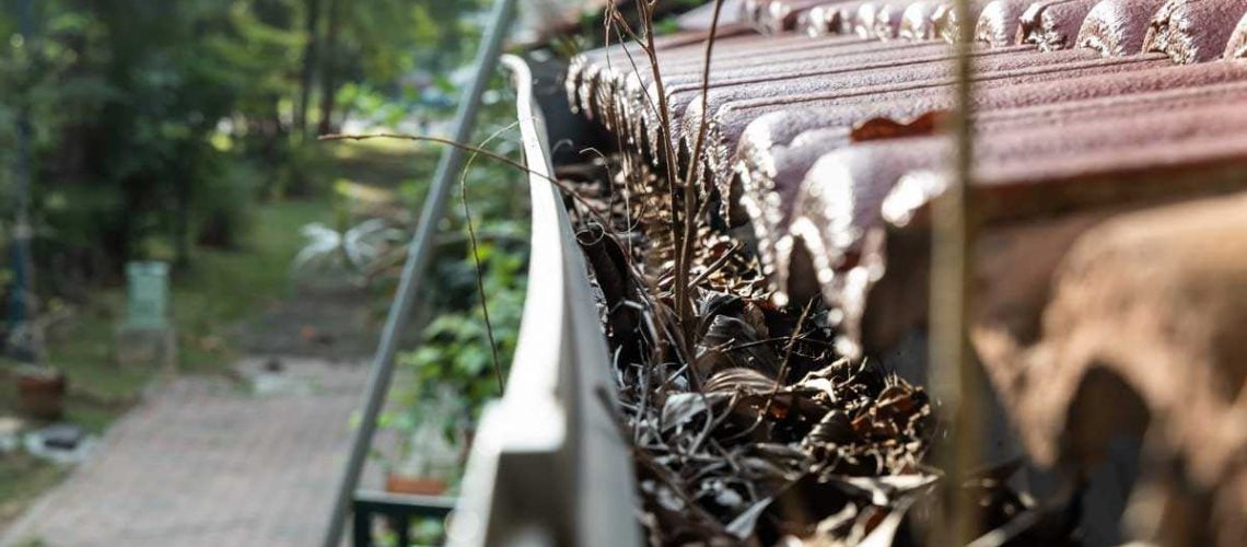 Clogged roof gutter filled with debris requiring professional cleaning service